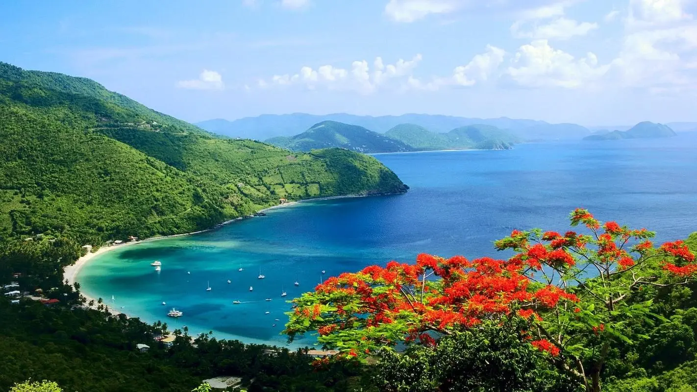 智能高性能